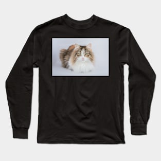 Long Hair tortoiseshell cat Long Sleeve T-Shirt